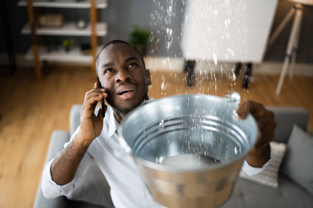 Best Carpet water damage restoration  in Lowell, NC