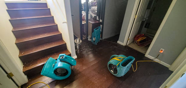 Best Basement water damage restoration  in Lowell, NC
