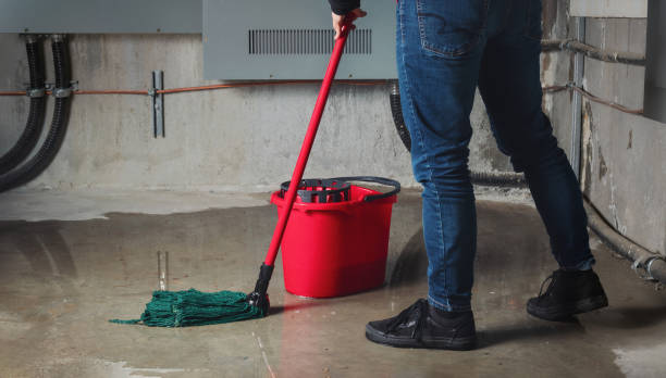 Best Sewage cleanup and water damage restoration  in Lowell, NC