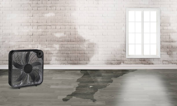 Best Flood damage cleanup  in Lowell, NC