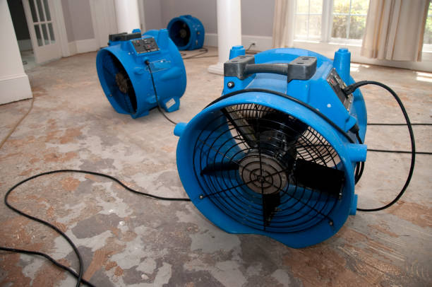 Best Flood restoration services  in Lowell, NC
